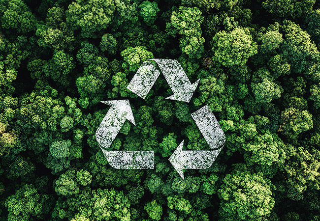 Sustainability Image