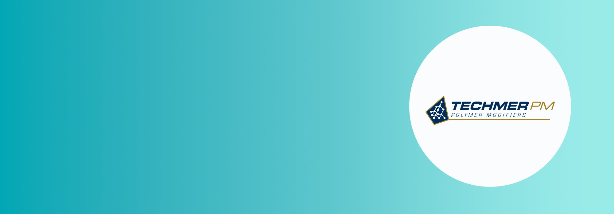 TechmerPM Banner